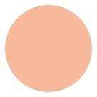 Refil Protetor Solar Compacto UV Light Beige Shiseido 12g