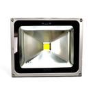 Refletor LED 50 Watts - 2841
