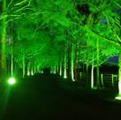 Refletor led 50w cor verde - com chip cob