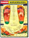 REFLEXOLOGIA -
