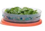 Refri Line Redondo Floral Fresh 200ml Tupperware Refri Line Redondo Floral Fresh 200ml Tupperware
