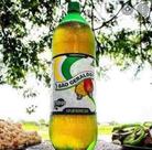 Refrigerante cajuina