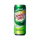 Refrigerante Ginger Ale Canada Dry 330ml
