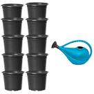 Regador 3L Azul Com Bico 10 Unidades Potes Preto Nutriplan Ideal Para Plantio