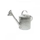 Regador Galvanizado N.10.