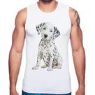 Regata Cachorro Dálmata - Foca na Moda