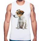 Regata Cachorro Jack Russell Terrier - Foca na Moda