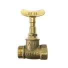 Registro de Pressão Bruto 1400 1/2'' - Metal Amarelo