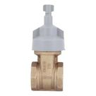Registro Gaveta 1/2 DN15 Bruto Base 4509 102 - Deca