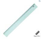 Régua 30cm Acrilica New Line Vermelha - Waleu