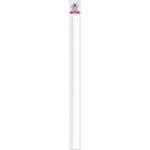 Régua de Poliestireno Transparente 60CM PCT com 10
