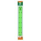 Régua Flexível 30cm Verde - Leo&Leo