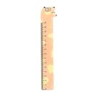 Régua plástica 15 cm Pet BRW Cor:Rosa