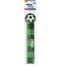 Regua Plastica FUNNY 15CM (S) CX.C/12