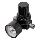 Regulador de Pressão com Manômetro 12 Bar Denzel 1/4''