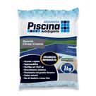 Rejunte Piscina Impermeável Cor Cinza Cromo