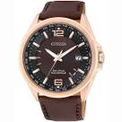 Relógio Citizen Eco-Drive TZ20386R CB0017-03W