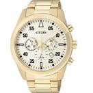 Relógio Citizen Masculino TZ30795G