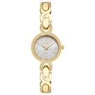 Relógio Condor Feminino Bracelete Dourado - CO2035NYX/5K Relógio Condor Feminino Bracelete Dourado - CO2035NYX/5K