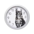 Relógio De Parede Sala Cozinha Gatinho Gato Cat 24cm Redondo Branco