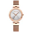 Relógio feminino movimento quartzo pulseira em malha de aço inoxidável casual Relógio feminino movimento quartzo pulseira em malha de aço inoxidável casual