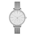 Relógio Feminino Skagen Hagen Prata - SKW2358/1BN
