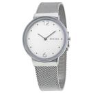 Relógio Feminino Skagen SKW2380 1KN