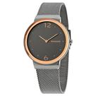 Relógio Feminino Skagen SKW2382 4KN