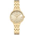 Relógio Feminino Technos 2035NDA1X Redondo Dourado Clássico