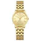 Relógio HOLSTOUR Gold para mulheres com mostrador romano vintage de 30 m w.r.