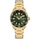 Relógio Technos Masculino Automático Dourado - 8205PG/1V