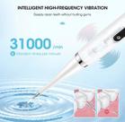Removedor 31000 De Tártaro Limpeza Dental Elétrico com Usb