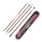 Removedor de Cravos Extrator De Cravos Profissional Kit
