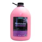 Removex Desengraxante Automotivo Vintex Concentrado