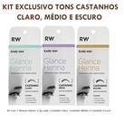 Rena Sobrancelha Profissional Henna Designer Glance Rare Way Kit renna fixador alto rendimento fixa