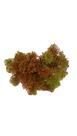 Renda crespa pick (26cm)-outonado