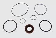 Reparo Bomba Citroen Jumper - Fiat Ducato 300.001