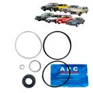 Reparo Bomba Direção Hidráulica ZF 7671 Ford Belina/ Corcel/ Del Rey/ Pampa/ Scala/ Volks Santana/ Quantum/ Royale/ Versailles