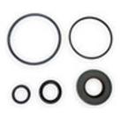 Reparo Bomba Ford Ranger - Explorer 93 300.100