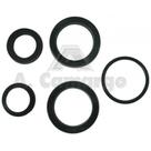 Reparo cilindro hidrostatica 8240-8440 2510801023