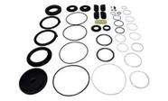 Reparo Completo Setor Hidráulico Zf8097 Ford Cargo 2428e