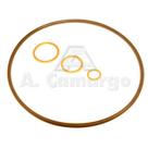 Reparo copo bomba direcao 265 a 290 3175458- agel
