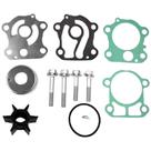 Reparo Yamaha P60 60hp Com Retentor e Base Metálica