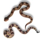 Repelente de jardim para répteis de borracha realista Fake Snakes CJMYHOME