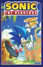 Reserve IDW Sonic the Hedgehog Vol. 1 Fallout! - Inglês