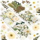 Resinadores de flores secas, kit de artesanato natural prensado de 100 unidades