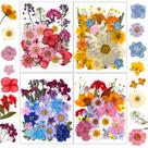 Resinadores de flores secas, kit de artesanato natural prensado de 100 unidades
