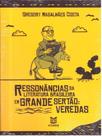 Ressonâncias da literatura brasileira em grande sertão