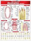 Resumao anatomia dentaria