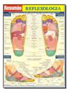 Resumao especial - reflexologia Resumao especial - reflexologia